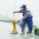 지선목장 이미지