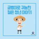 젊은청년