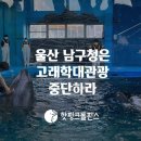 고래 이미지