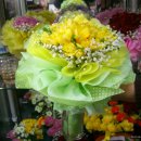 살구꽃핀마을은 이미지