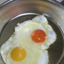 정란농장 이미지