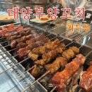 춘천순환로 | 춘천 태양부양꼬치 거두점 | 양고기 맛집 내돈내산 후기