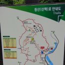 대전근교 휴양림 이미지