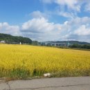 충청세차장 이미지