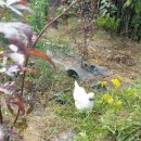 현성농장 이미지