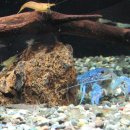 허숙희네 이미지