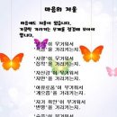과일상점
