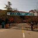 용인대학교 경영대학원 이미지