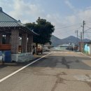의신면 돈지시장 네이버블로그