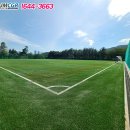 장산 축구장 이미지