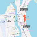 개미카서비스 | 여행 5] 반미 맛집 마담콴 반미퀸, 호이안 콩카페, 호이안-다낭 숙소 차량 서비스 가격, 강아지 자만추 🇻🇳