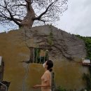 추자한의원