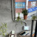 평화주택 | 망원 평화로운 분위기의 주택개조 카페 <Uig> 내돈내산 후기