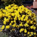 하늘땅민박 이미지