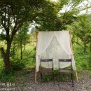 달빛식탁