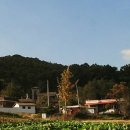 다모아부동산중개사무소 이미지