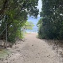 거북이게임랜드 이미지