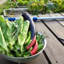 본레이크 이미지