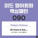 [중급편 090] 'All / [I know] / is [that S V~]'(내가 아는 건 S주어가 V동사라는 것뿐이야) 이미지