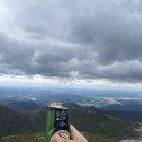 보성김밥 이미지