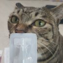 텐즈힐약국 이미지