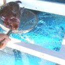 태백회수산 이미지