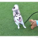 아이조아요양보호소 대구점 이미지