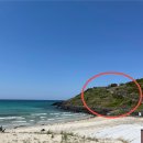 함덕 화산송이 펜션 | 제주 동쪽 여행 코스ㅣ가볼만한곳 서우봉 청굴물 오션뷰 카페 비자림 맛집 포장