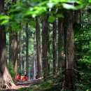 힐링 나들이 이미지