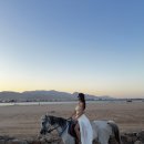 와이낫빈티지 | 이집트 다합여행 - 라구나비치, 아일랜드 포인트, 말타기 체험 비용, 기념품샵 추천
