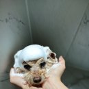 오늘의 개스트 이미지