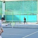 청송군민테니스장 이미지