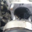 드림카맨샵 이미지