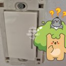 정일조명