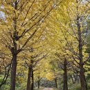 대마보건지소 이미지