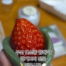 떡봄시루
