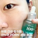 탱글한 피부 만들어주는 아누아 PDRN 히알루론산 캡슐 100세럼 후기