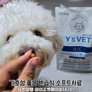 유한양행 기호성 좋은 강아지 와이즈벳에이씨소프트사료 후기