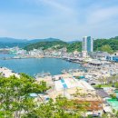 울진후포수산업협동조합 티스토리