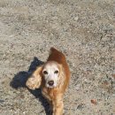 돌돌이네 이미지