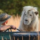 무궁화 꽃이 피었습 이미지