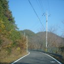 너덕골식당 Daum카페
