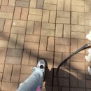 2202 | 뉴발란스 브리즈 메리제인 실버 후기｜SD2202SG2 사이즈 팁 + 29CM 최저가 실착 리뷰