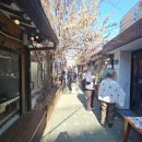 마음의 산책3 | 서울 종로] '익선동' 과 '인사동' 주말 산책 후기