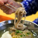국수집 Daum카페