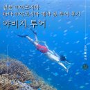 270-2507 | 미야코지마에서 꼭 해야 할 야비지 투어 예약 방법 및 솔직 후기