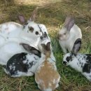 강인한농장 이미지