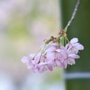 배화학교 이미지