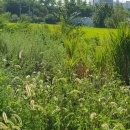 통운카센타 이미지