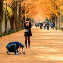 행복한휴식 이미지